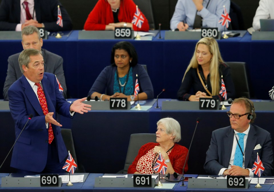  Mr Farage made an animated speech at the European Parliament