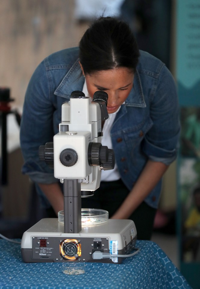  Meghan peers through a microscope as part of the Commonwealth litter project