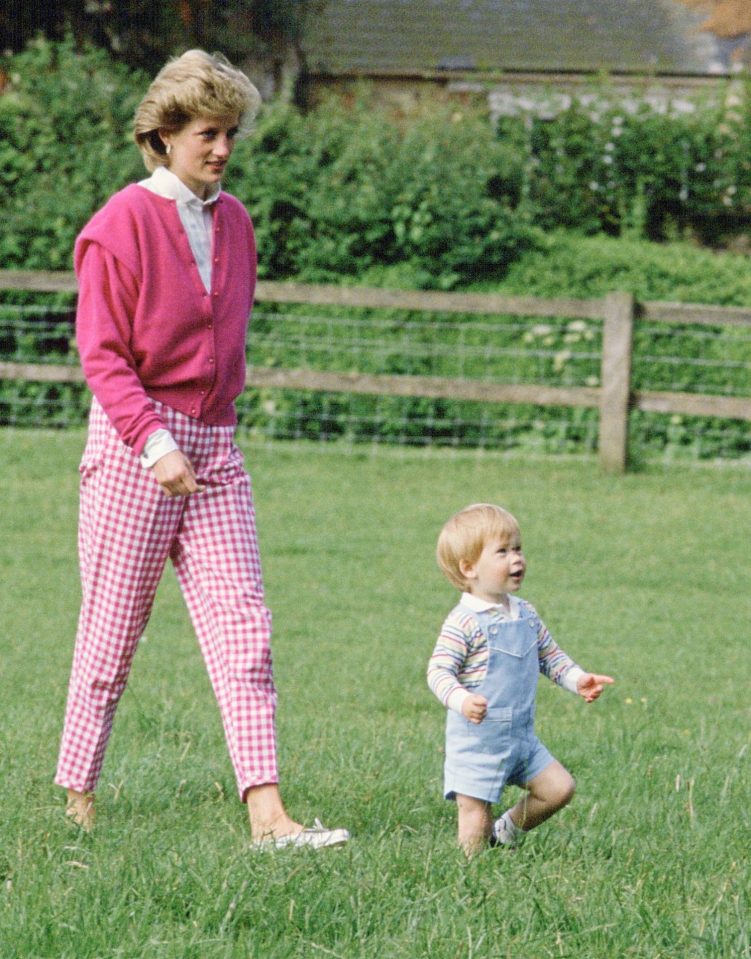  Prince Harry pictured in a similar blue romper in the grounds of Highgrove with his mum