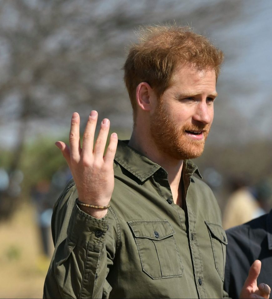  Prince Harry said climate change science was 'undeniable' - praising Greta Thunberg