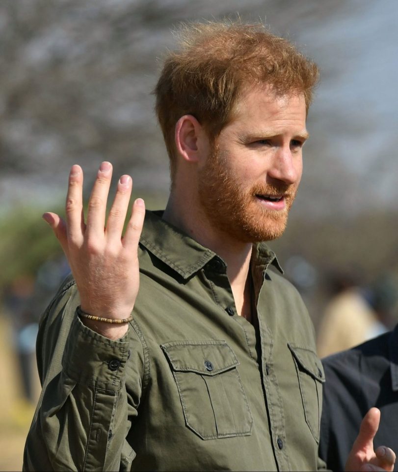  The duke spoke about why Botswana is so important to him