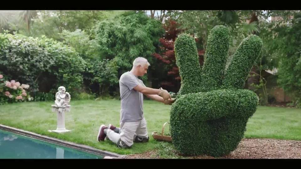  The Special One tends to his bush in the garden - clipping it into the shape of three fingers being held up