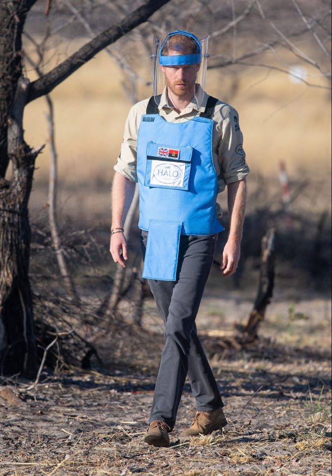  Prince Harry retraced his mother's footsteps by visiting landmines in Angola