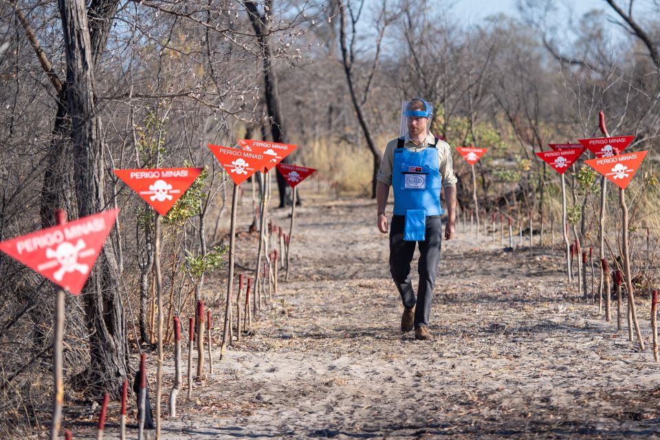  Prince Harry helped to remotely detonate a landmine during his engagement