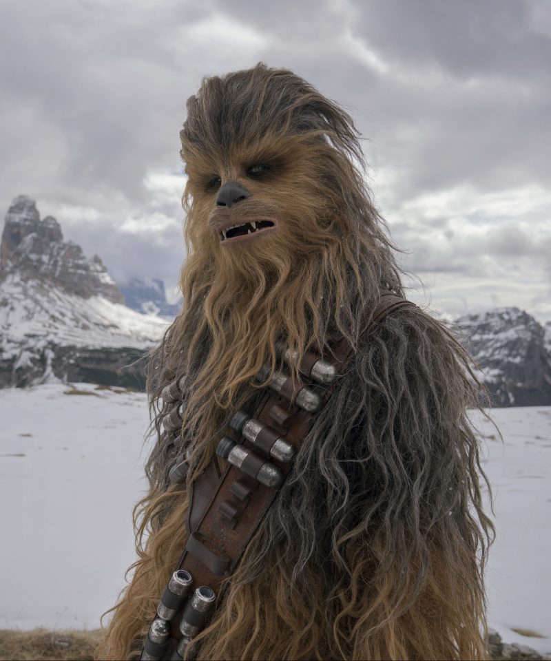  Chewbacca has appeared in seven Star Wars films