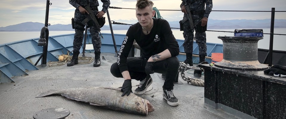  Sea Shepherd's Jack Hutton investigates a dead totoaba with two Mexican navy officers standing guard as they work on conservation efforts in the Sea of Cortez