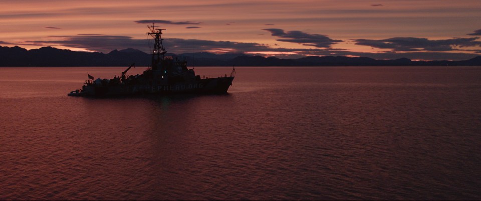  Sea Shepherd Vessel in the coastal waters of San Felipe in the Sea of Cortez