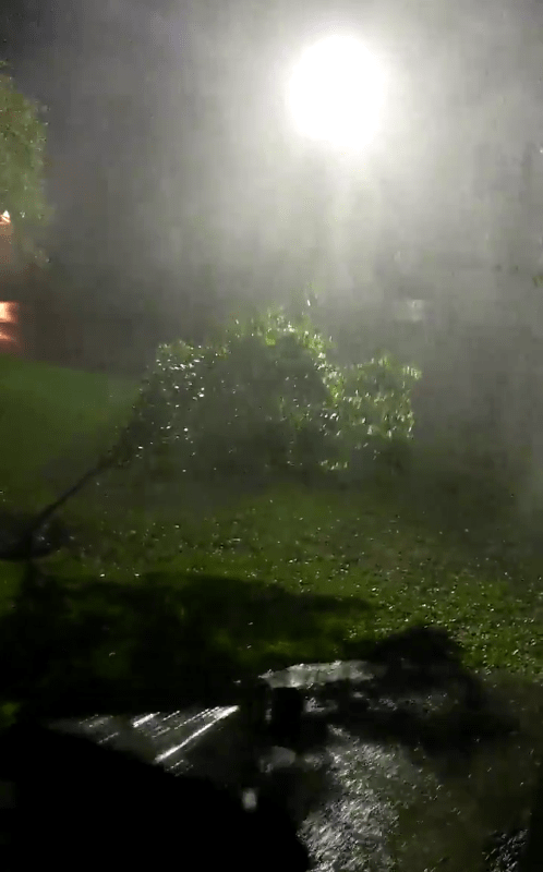  Trees are bent sideways by the powerful wind in Mount Pleasant, South Carolina