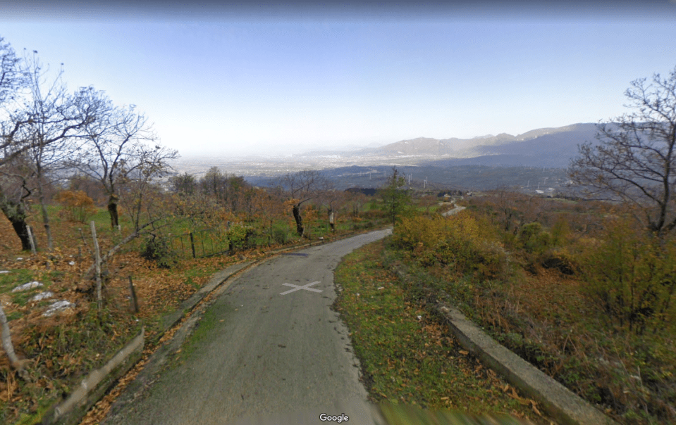  The pair were hunting in a thick clearing near the town of Postiglione in Italy