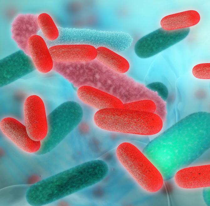 a computer generated image of red and green bacteria on a blue background