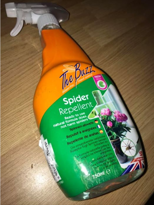  Spider haters are going wild for this 99p spray in Home Bargains