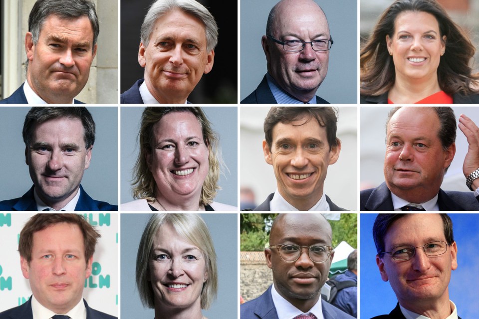  From top left: David Gauke, Philip Hammond, Alistair Burt, Caroline Nokes, ,Steve Brine, Antoinette Sandbach, Rory Stewart,Stephen Hammond  Ed Vaizey, Margot James, Sam Gyimah and Dominic Grieve