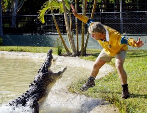  Steve Irwin was known as the Crocodile Hunter