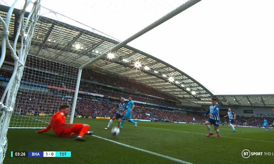 Lloris falls onto his left arm after spilling an early cross to gift Brighton the lead