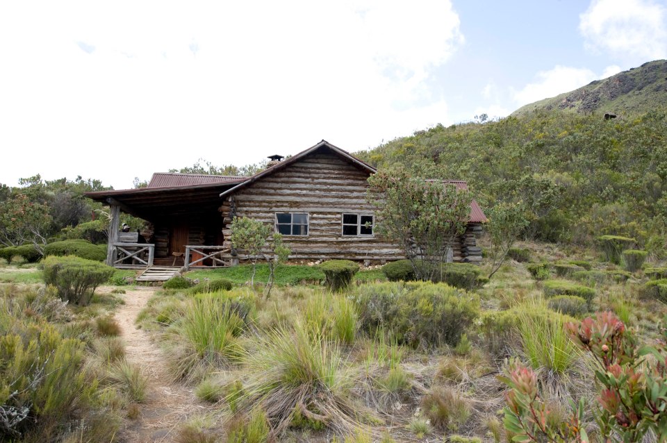  William proposed in a remote log cabin in Kenya