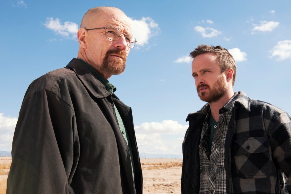  The actors were loved by fans in Breaking Bad