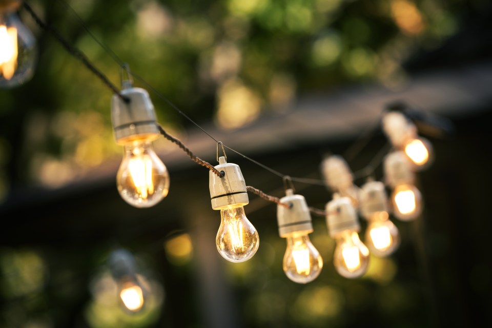 Outdoor lights can brighten up your garden but they cost you in the long run