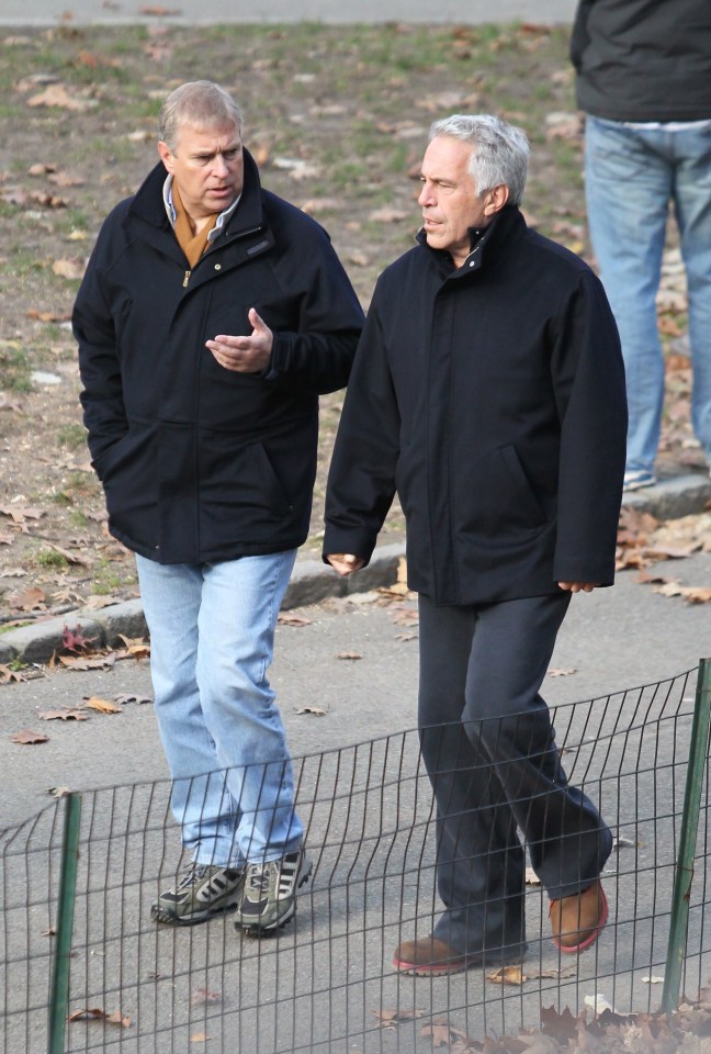 Prince Andrew, pictured with Jeffrey Epstein in New York in 2010