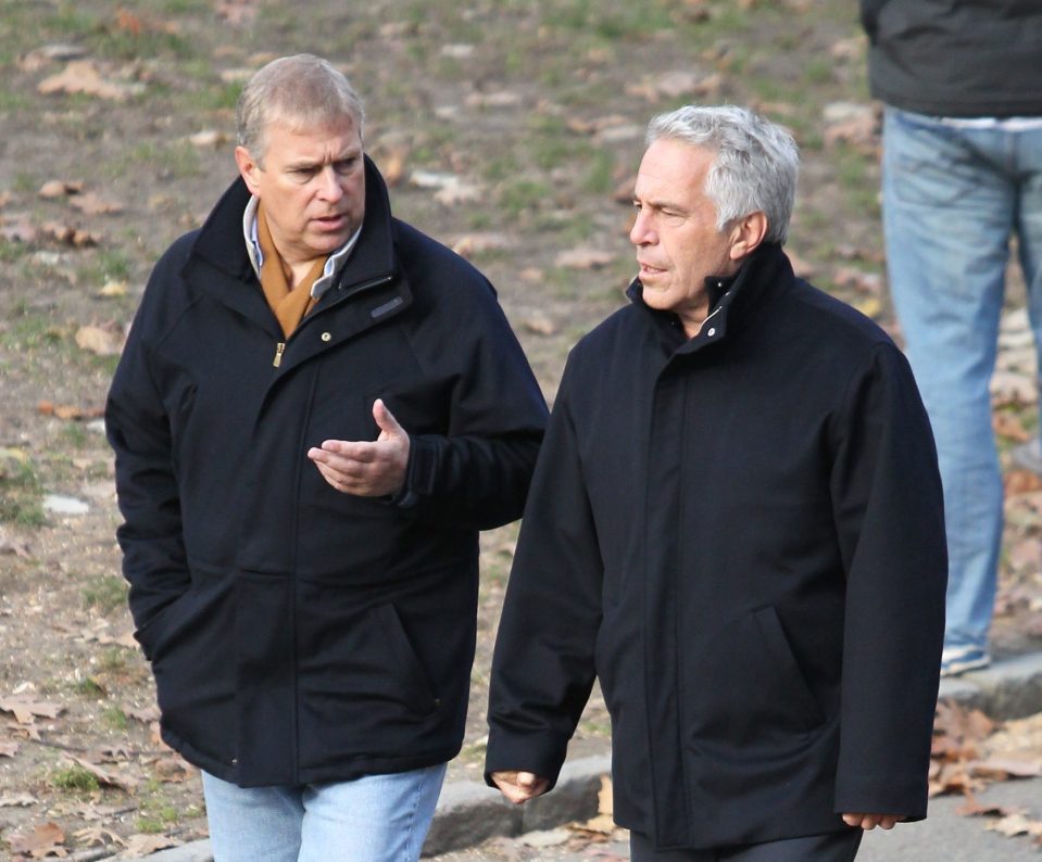  Prince Andrew, pictured with Jeffrey Epstein in New York in 2010