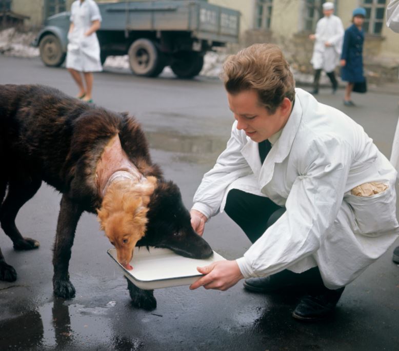  Vladimir Demikhov with one of the two-headed dogs he made in East Germany in the 1950s and 1960s