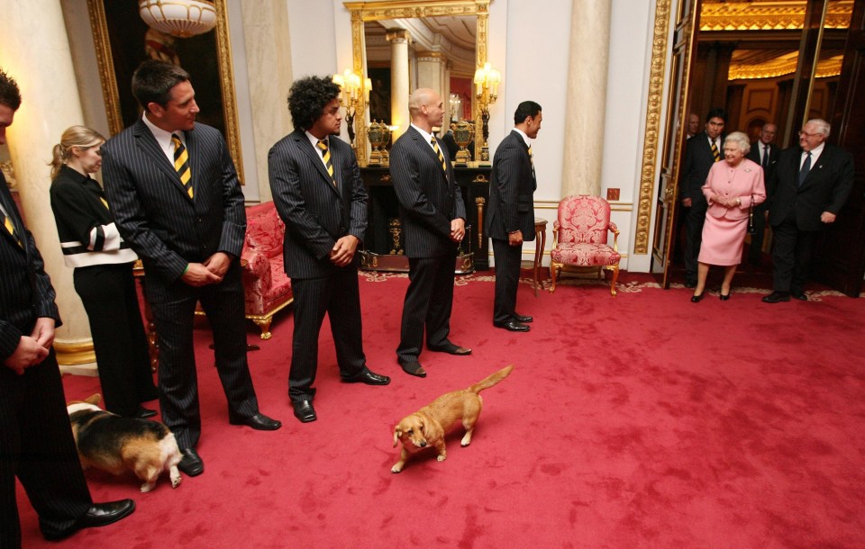  The Queen said the corgis had a terrible habit of lying in the most awkward places