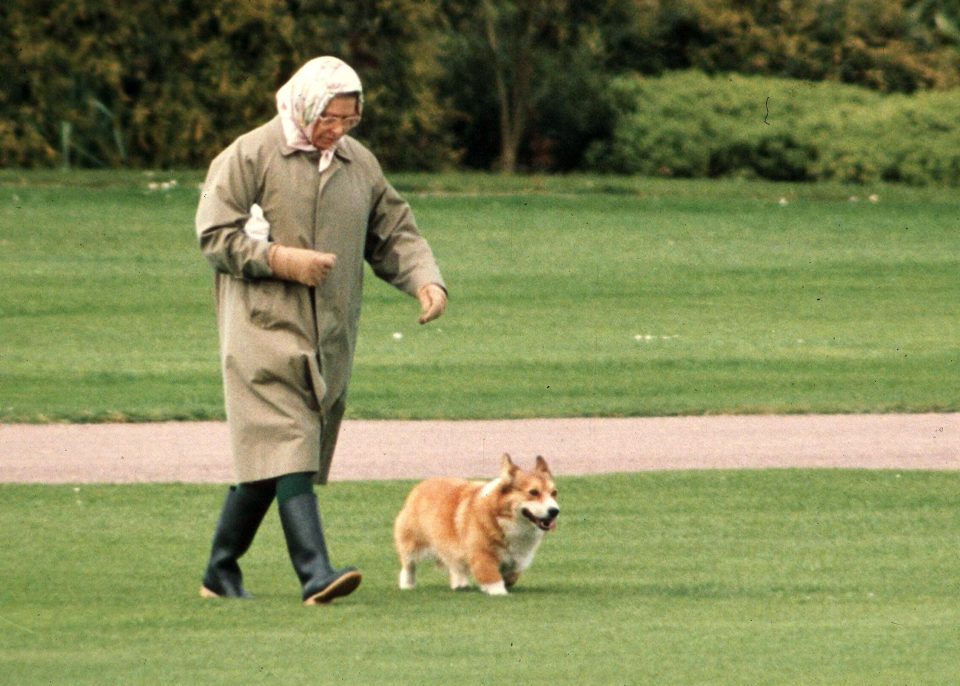  When the Queen's personal jeweller came to visit in 2000, he tripped over one of her corgis, according to the Queen's dresser