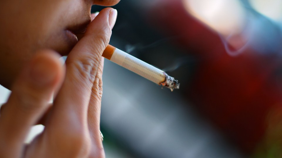  Cigarette filters have been dubbed "the deadliest fraud in the history of civilisation"