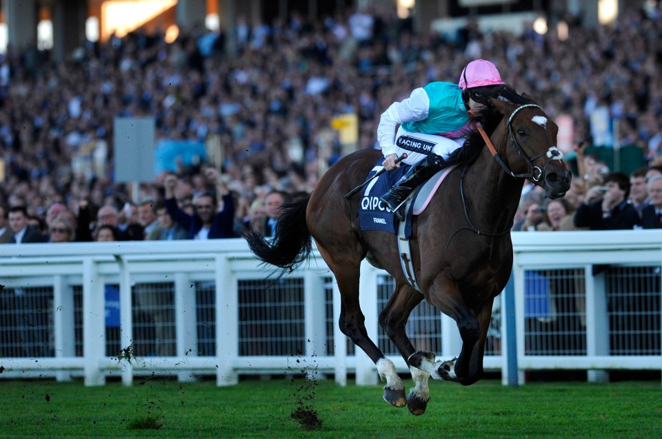 Frankel’s wonderful career will be shown on the big screen for the first time