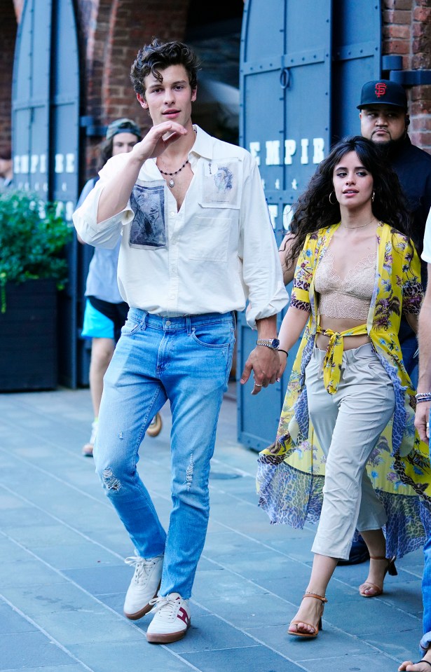  Camila Cabello and Shawn Mendes take a romantic walk on his 21st Birthday in New York