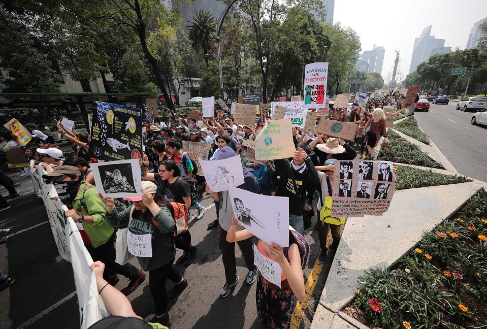  Climate change demonstrators march in Mexico