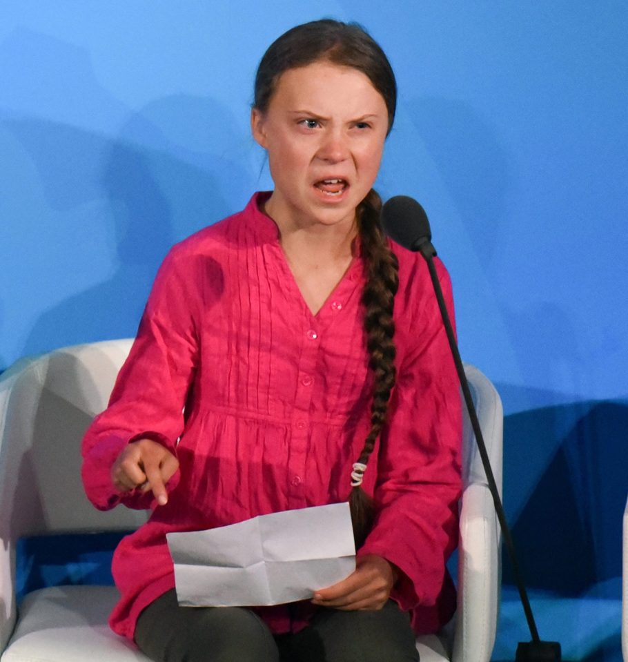  The schoolgirl slammed world leaders for their inaction in a fiery UN speech