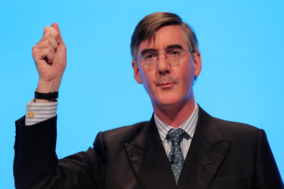  Jacob Rees-Mogg said: 'England’s World Cup triumph was achieved against the odds and so the passage of our nation towards Brexit has been a slog'