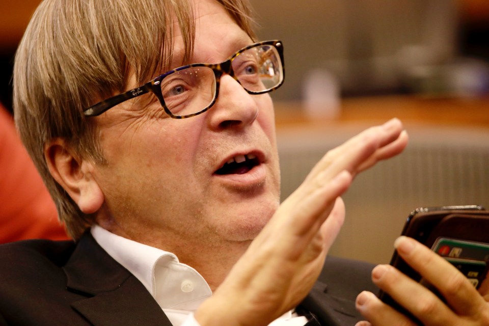  Guy Verhofstadt was caught cheering when Theresa May’s Cabinet accepted the backstop in a fly-on-the-wall documentary