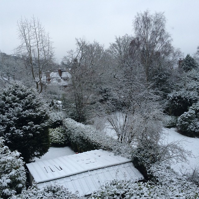 Snow in the garden of their North London house