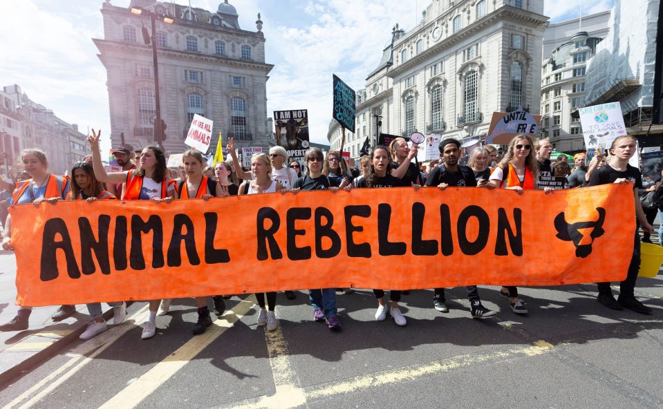  Animal Rebellion activists take part in a protest in London in August this year