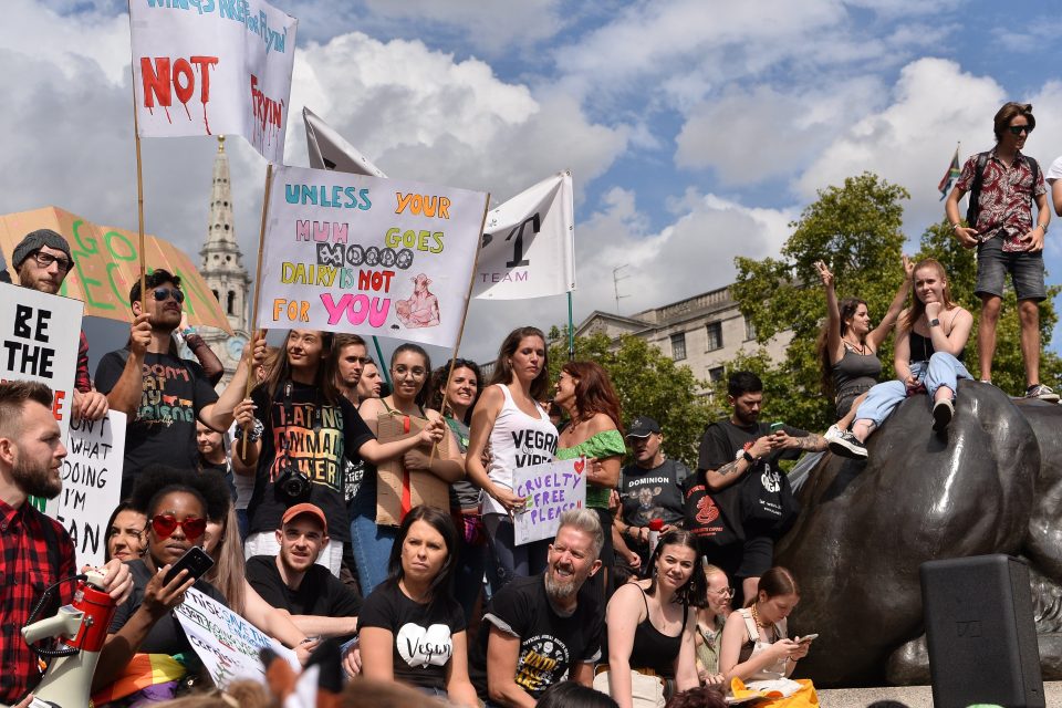  Animal Rights activists made their feelings heard during the London protest