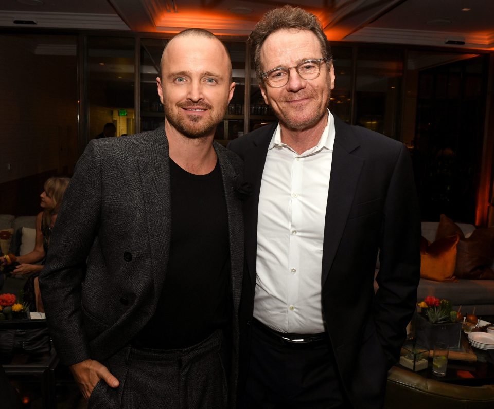  Breaking Bad stars Aaron Paul and Bryan Cranston have reunited on the red carpet