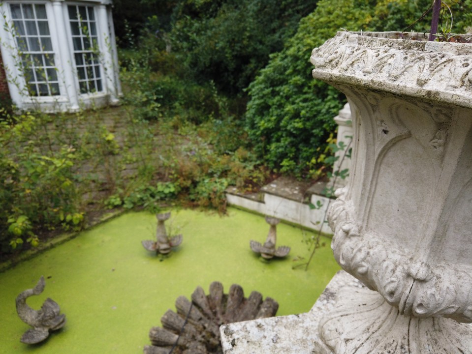  Green pond water replaced what once would have been a beautiful fountain with clear water