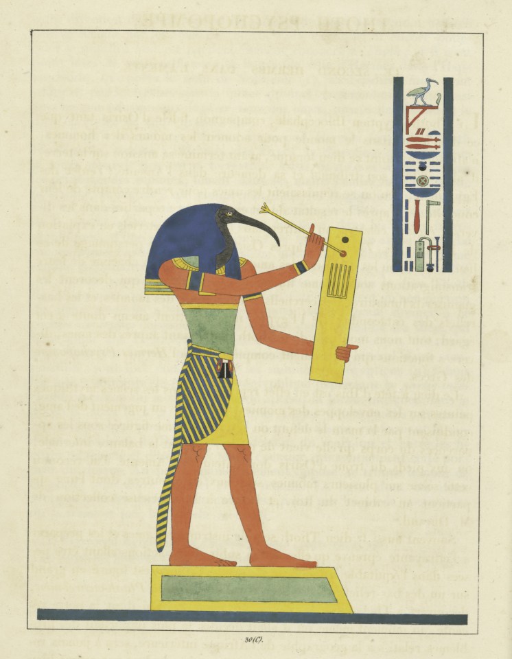  The god Thoth – an Ancient Egyptian deity linked to magic and the judgement of the dead – was invoked by the curse