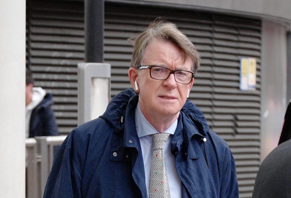  Labour poll-master Peter Mandelson says the party's hard-left economics could win the next election