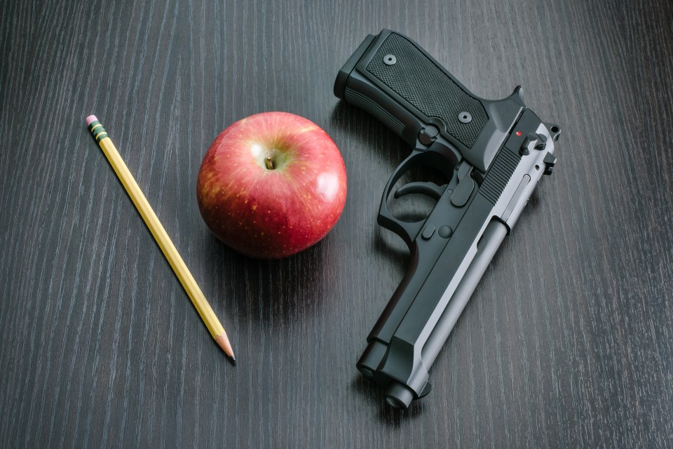  Florida is the latest state to arm its school teachers with guns to take on active shooters during emergency situations