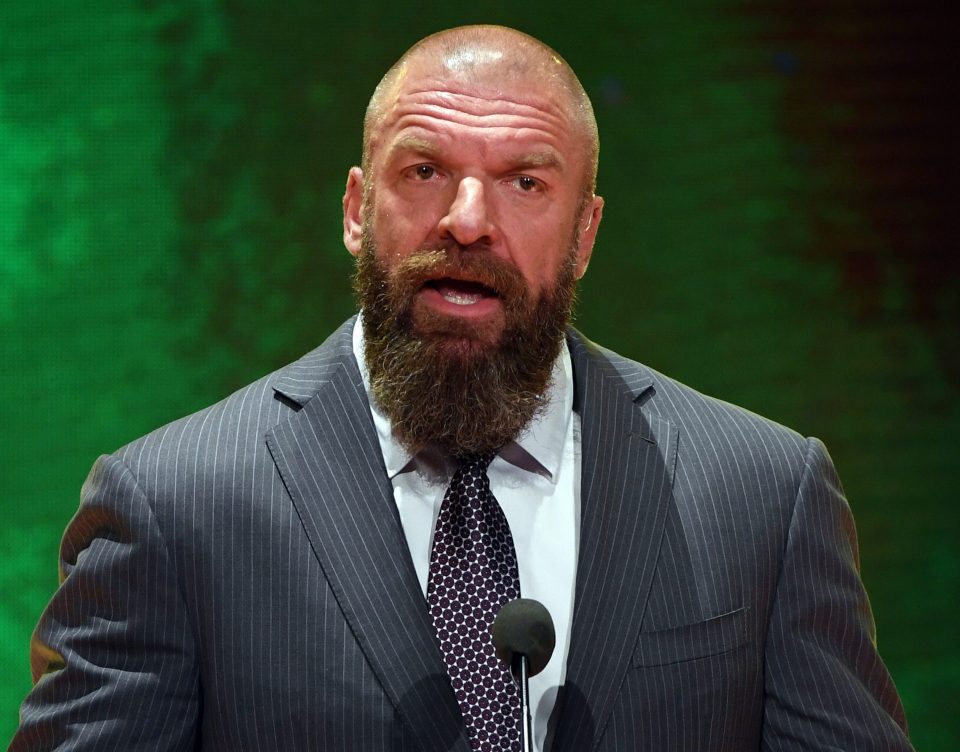  Fury has undergone pro wrestling training with WWE legend Triple H