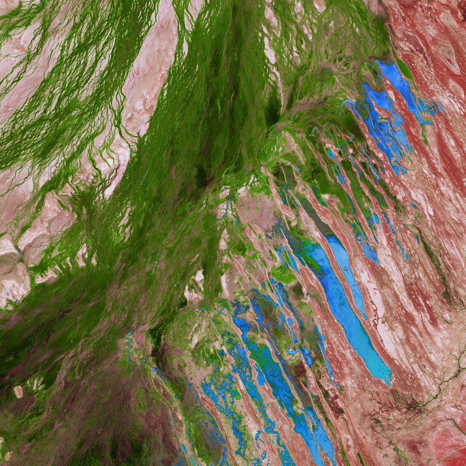  The Lake Eyre Basin is one of the driest places in Australia. But this image features a rare green flush to this otherwise parched landscape. Streams and creeks that drain into the basin are usually dry, but storms in March 2018 delivered water to these braided channels. By April, the floodwater had receded and left a green expanse behind. Scientists use satellites to track such flooding and greening events.