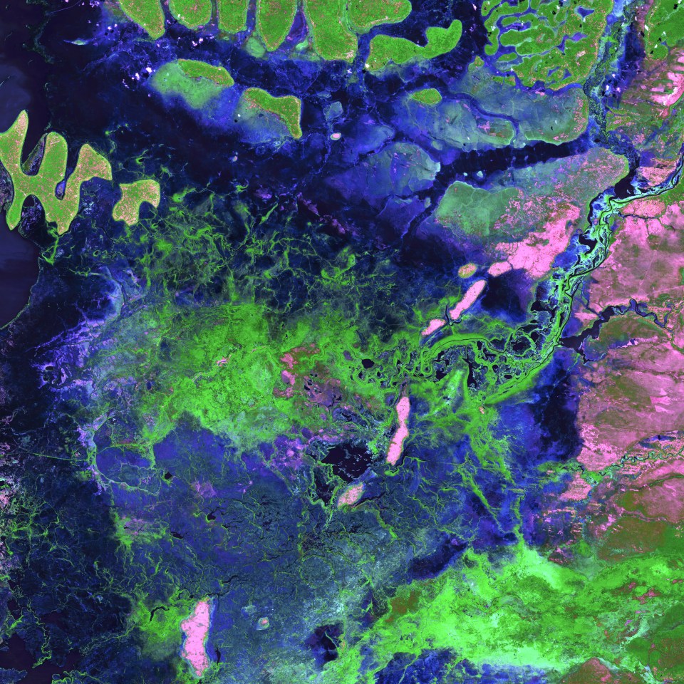  Seventeen rivers flow into the Bangweulu Wetlands in Zambia, but only one drains out. Green tendrils randomly sweep through the image, a landscape dominated by various grasslands, open water, and dense Papyrus grass and Phragmites reeds. The entire wetland covers an area about the size of Connecticut.