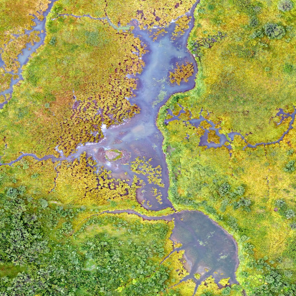  Wetlands have a unique beauty when viewed from above. This natural colour drone image shows the intricate interactions of forest and surface water in this high-altitude wetland called a fen in the Rocky Mountains of Colorado. Wetlands enhance water quality and provide habitats for diverse plant and animal species. Drones help with mapping fens for conservation and restoration studies.