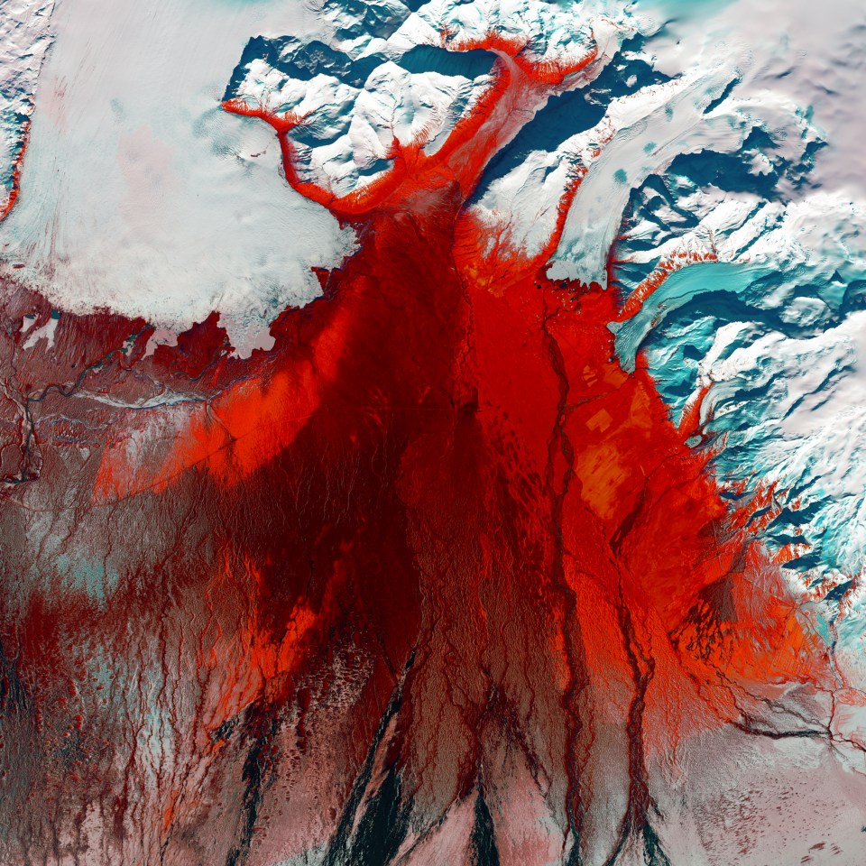  Red and black seem to mar the icy glacial landscape of southern Iceland. The grey-black filaments are past glacial melting outbursts called jökulhlaups. These abrupt flooding events gush down this outwash plain called Skeiðarársandur, one of the world’s largest. The Skeiðarárjökull Glacier reaches down from the top left of the image. The plain is mostly devoid of vegetation, but red colouring indicates low moss, birch shrub, and other grass species.