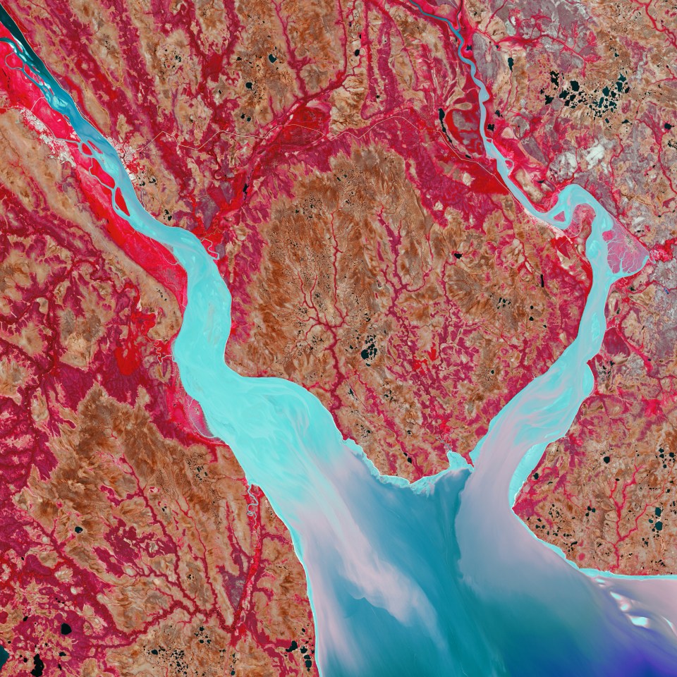  In northern Russia, the freshwater of the Mezen River meets the saltwater of the Arctic Ocean. The funnel-shaped estuary has a strong tidal current that mixes sediment in the water rather than building up a delta. In this colourful composition, the increasing brightness marks an increase in water turbidity.