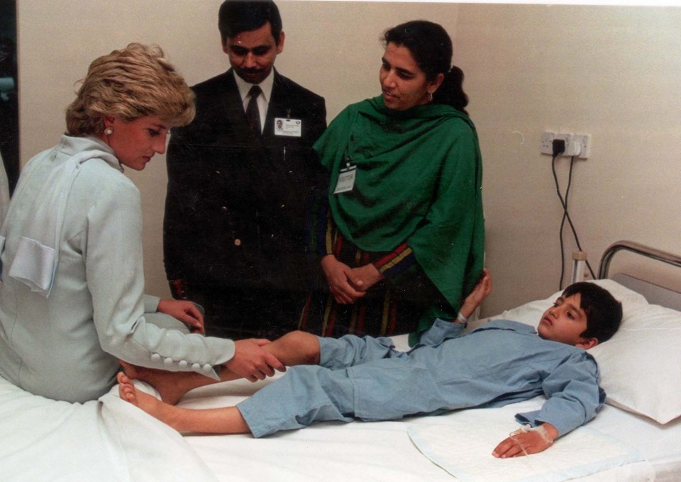 Diana took time to comfort sick children in the Lahore hospital in a two-day visit to Pakistan