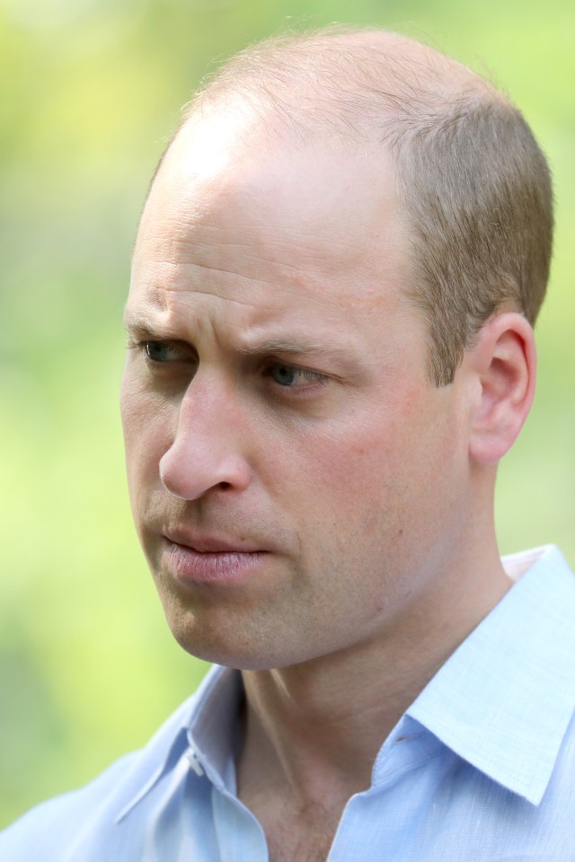 Harry revealed he doesn’t see Prince William as much as they used to and that they’re ‘certainly on different paths’