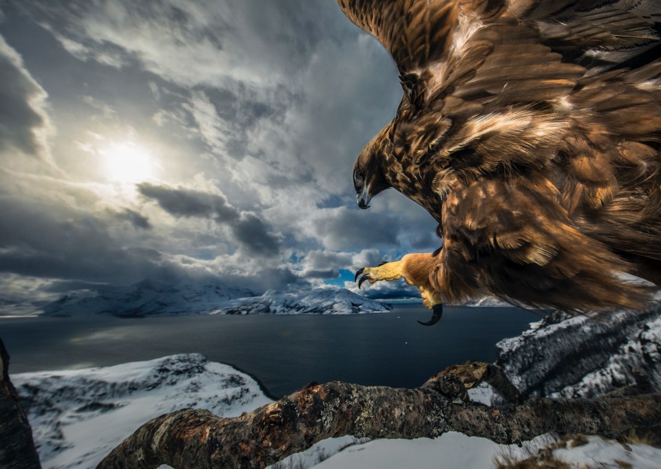  Land of The Eagle by Audun Rikardsen was shot on the coast near his home in northern Norway